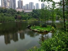-重庆彩云湖湿地公园