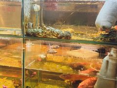 -友强·23年特色海鲜大排档(厦门店)
