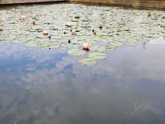 -春花秋色城市公园