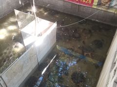 -龟场私房菜