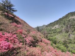 -木兰云雾山