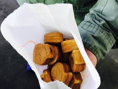 -西归浦每天偶来市场