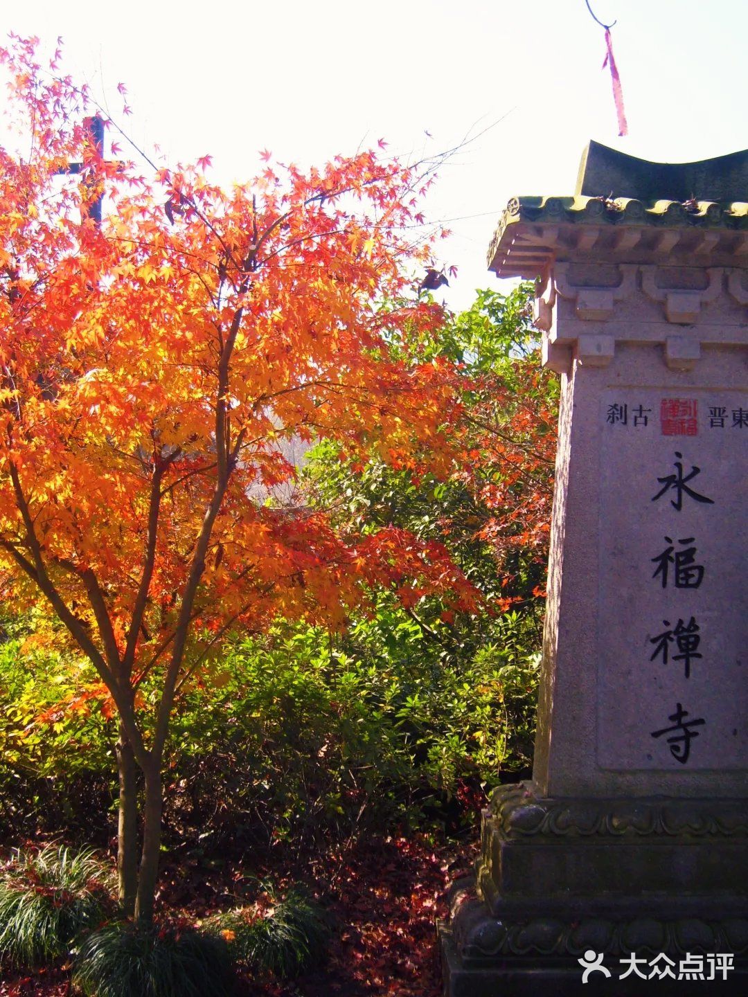 灵隐禅踪