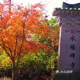 灵隐禅踪
