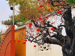 -龙华寺