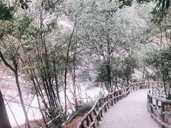 -黄山翡翠谷景区