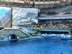 -海合安成都极地海洋公园