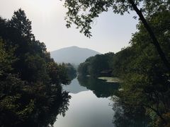 -杭州花家山庄