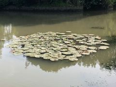-韩湘水博园