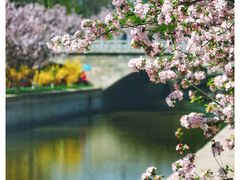 -海棠花溪(元大都城垣遗址公园)
