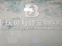 -宠颐生贝利健动物医院(谢家湾分院)