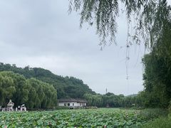 -北山公园