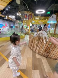 点击看大图 -七巧国萌宠乐园(龙湖天街店)