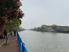 -高东镇樱花园