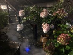 -乡村小榭饭店