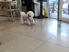 -艾贝尔宠物医院 ·中兽医·宠保定点(北门桥店)
