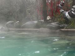-青城道汤池