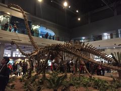 -自贡恐龙博物馆