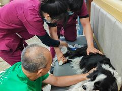 -美联众合动物医院·24h转诊中心
