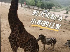 -太原动物园