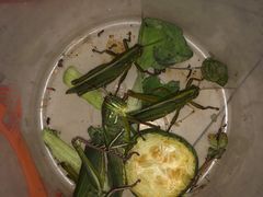 -蟠龙山长城景区