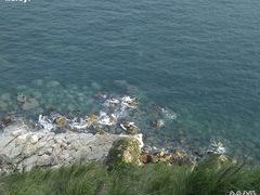 -西涌国际滨海旅游区