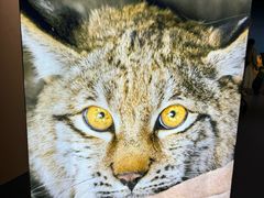 -中国湿地博物馆