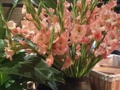-春暖花开(西溪店)