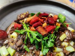 炒红乳牛肝菌-鲜菌江湖正宗野生菌火锅