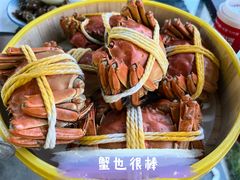 -七的湖·晚芳亭·阳澄湖农家菜·大闸蟹(莲花岛店)