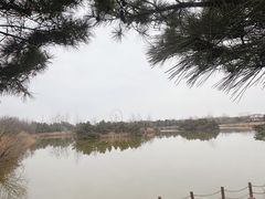 -日照海滨国家森林公园
