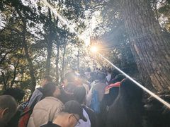 -灵顺寺
