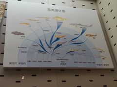 -浙江自然博物院(杭州馆)