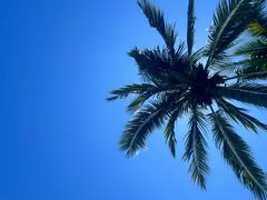 -海南清水湾莱佛士酒店