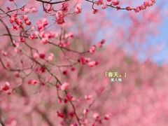 -国家植物园