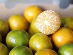 皇帝柑-百果园(东莞新世纪明上居2店)