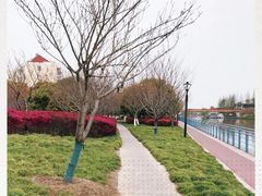 -高东镇樱花园