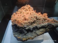 -湖南省地质博物馆