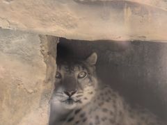 -青藏高原野生动物园