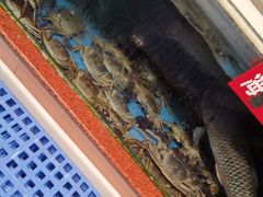 -皮记海鲜1995(寮步店)