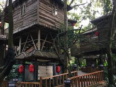 -天门沟九州驿站树上汤泉