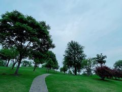 -广富林郊野公园