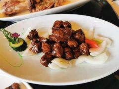 -碧丽宫大酒店(召稼楼店)