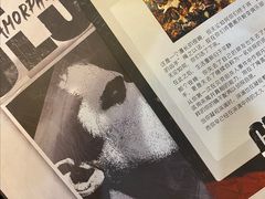 -好莱坞剧本演绎社