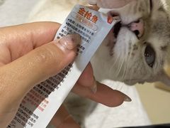 -藏猫猫咖啡主题馆(中央大道店)