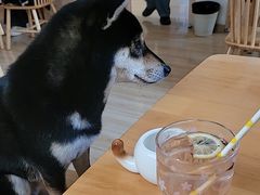 -柴の食堂·日式家庭料理·熊之肆(大学路店)