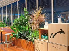 -Seesaw Coffee(朝阳大悦城店)