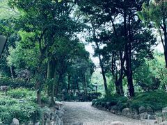 -叶家花园