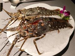 -左庭右院鲜牛肉火锅黑金店(陆家嘴中心店)