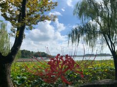 -金鸡湖桃花岛
